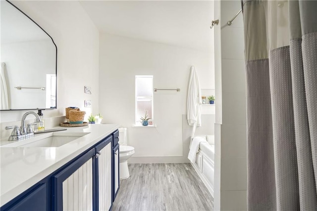 bathroom with hardwood / wood-style flooring, toilet, and vanity