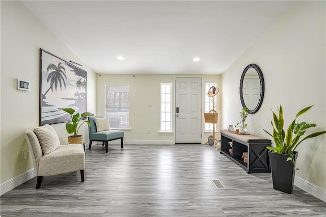 foyer entrance featuring hardwood / wood-style flooring