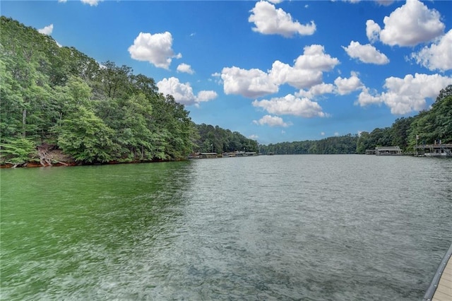 8305 Beryl Overlook, Gainesville, GA 30506 - water view featuring a heavily wooded area