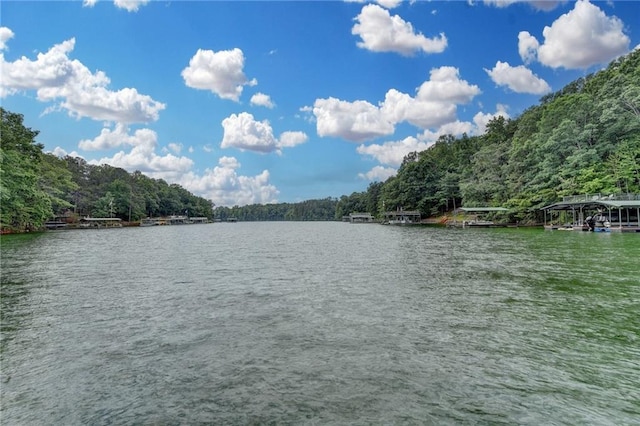 8305 Beryl Overlook, Gainesville, GA 30506 - water view featuring a forest