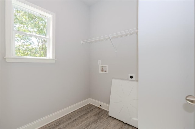 washroom with laundry area, baseboards, light wood-style flooring, washer hookup, and electric dryer hookup