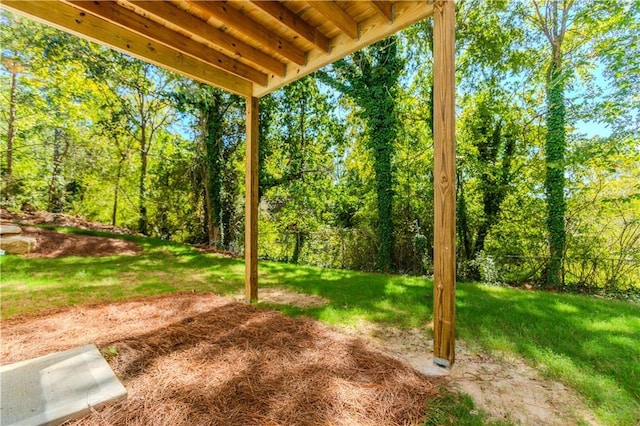 view of yard