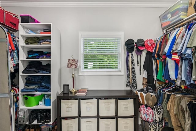 1832 Monument Rd, Jasper, GA 30143 - view of spacious closet