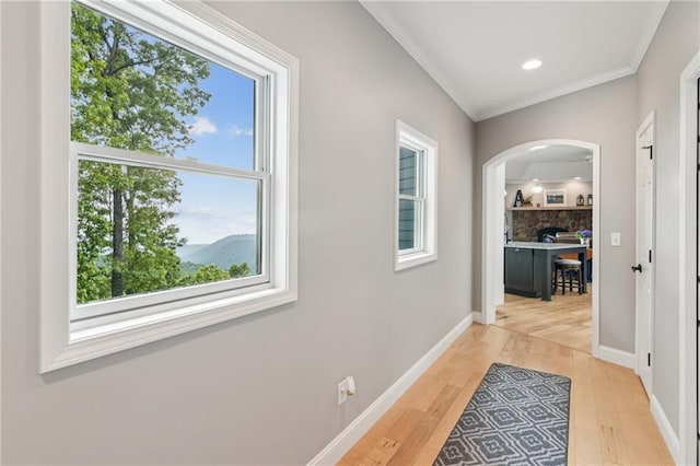 1832 Monument Rd, Jasper, GA 30143 - hallway featuring arched walkways, light wood-style floors, and ornamental molding