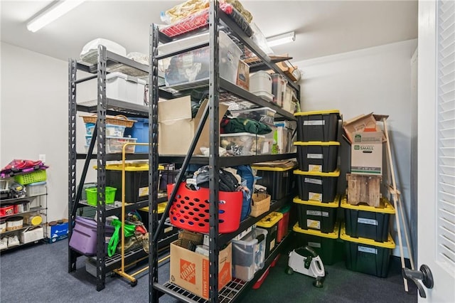 1832 Monument Rd, Jasper, GA 30143 - view of storage
