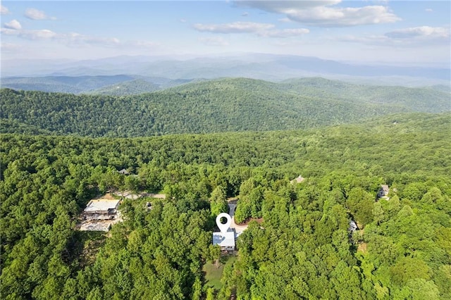 1832 Monument Rd, Jasper, GA 30143 - drone / aerial view of a forest and a mountainous background