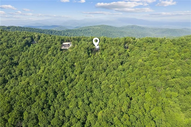 1832 Monument Rd, Jasper, GA 30143 - mountain view featuring a heavily wooded area