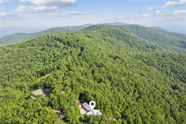 1832 Monument Rd, Jasper, GA 30143 - drone / aerial view of a forest and a mountainous background