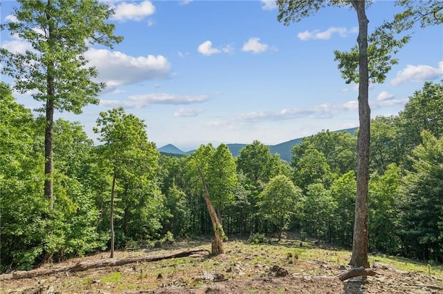 1832 Monument Rd, Jasper, GA 30143 - view of mountain background featuring a forest