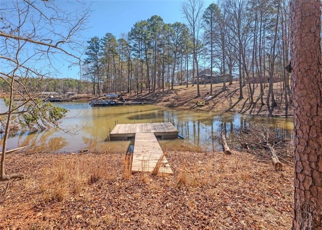 view of dock with a water view