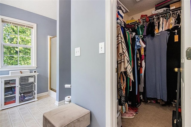 10 Callaway Ct, Hiram, GA 30141 - view of spacious closet