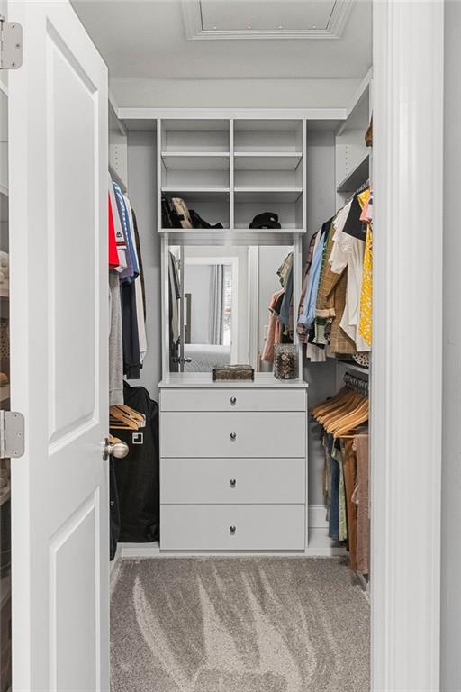 walk in closet with carpet floors