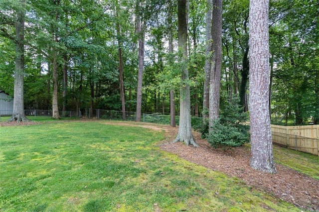 1959 Audubon Dr NE, Atlanta, GA 30329 - view of yard