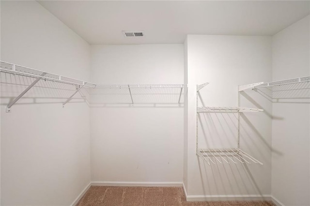 walk in closet with carpet