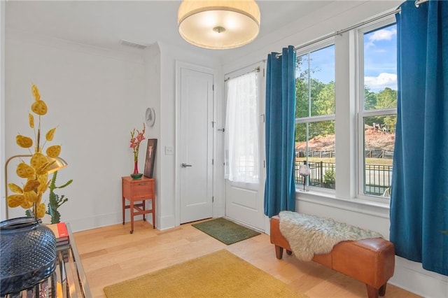 entryway featuring hardwood / wood-style flooring