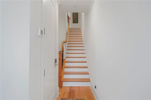 stairway with hardwood / wood-style flooring