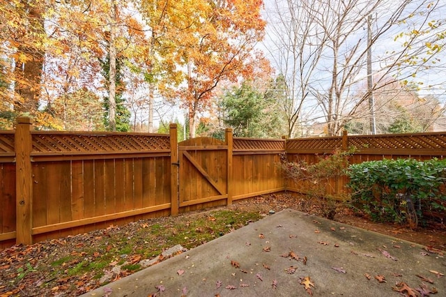 view of yard with a patio area