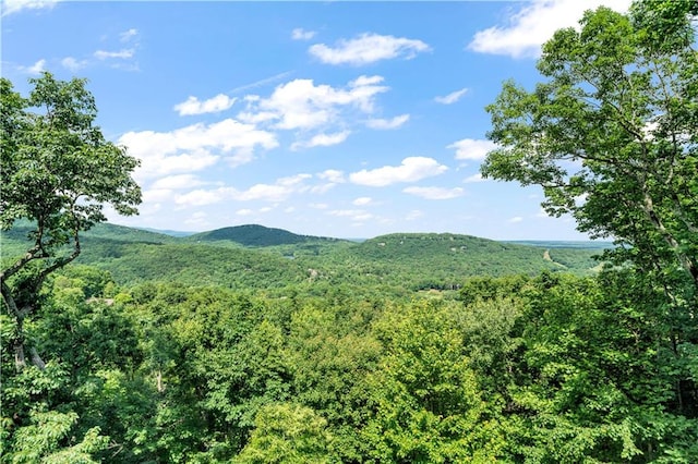 view of mountain feature