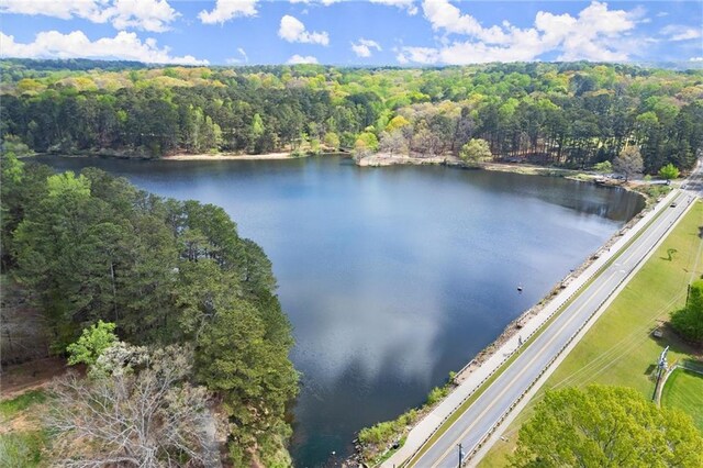 1430 Oconee Pass NE, Brookhaven, GA 30319 - birds eye view of property with a forest view and a water view