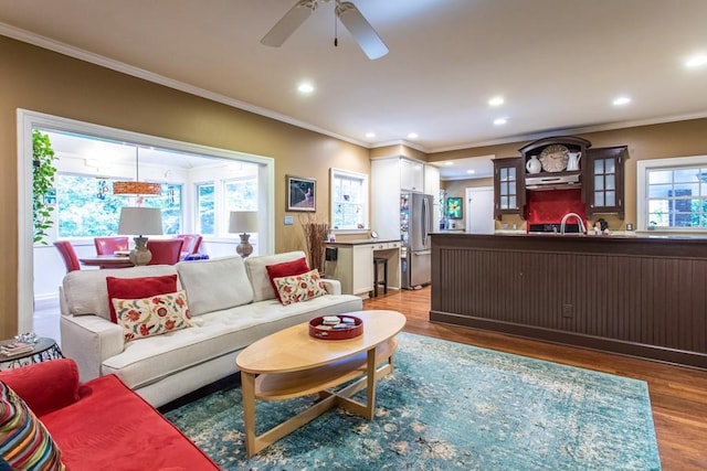 living room featuring ceiling fan, ornamental molding, dark hardwood / wood-style floors, and sink