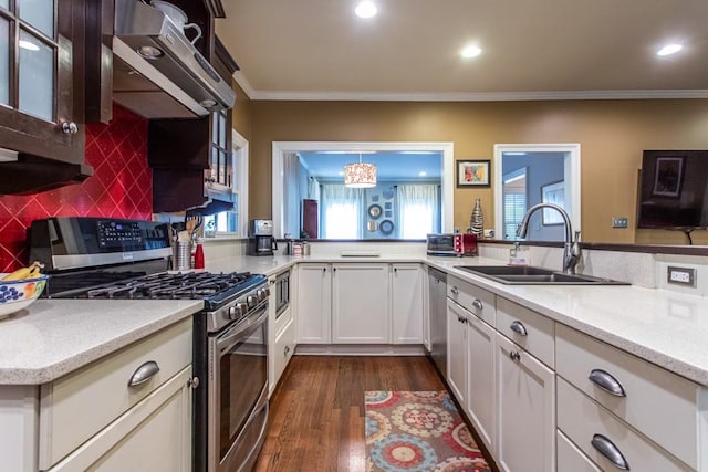 kitchen featuring sink, ornamental molding, extractor fan, stainless steel appliances, and tasteful backsplash