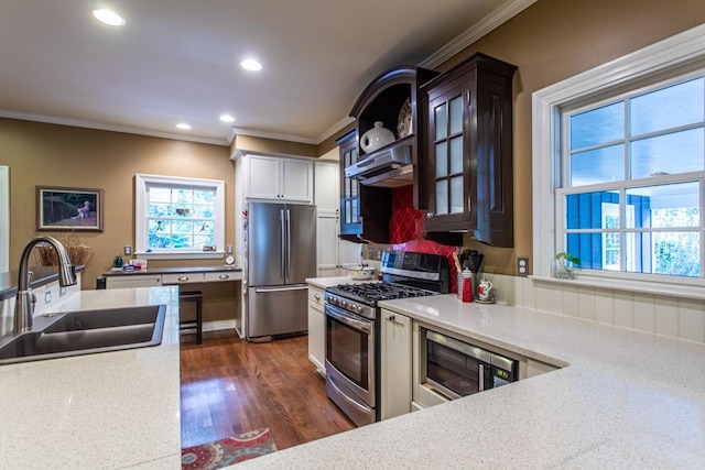 kitchen with dark hardwood / wood-style floors, sink, crown molding, white cabinets, and appliances with stainless steel finishes