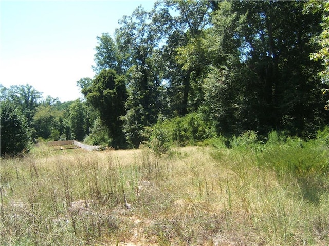 view of local wilderness