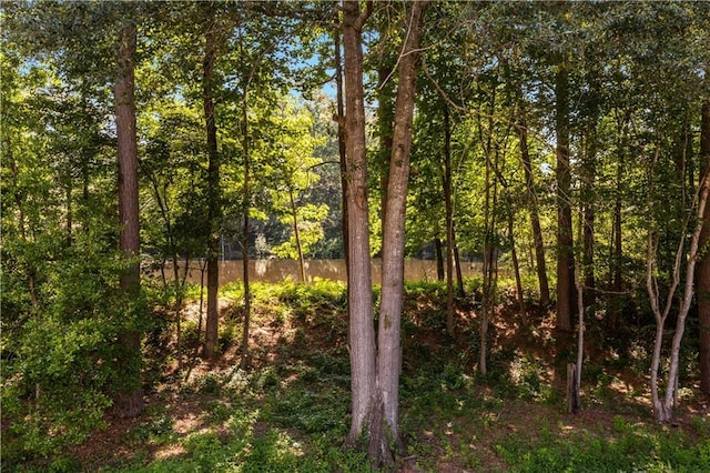 1360 Mount Mickinley Dr, Grayson, GA 30017 - view of nature