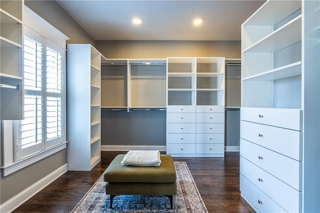 spacious closet featuring dark wood finished floors