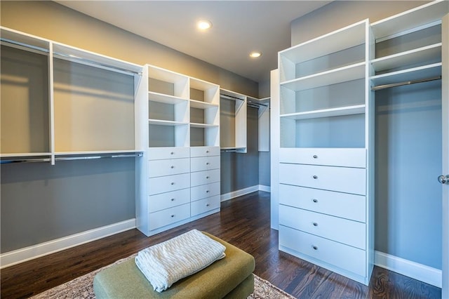 walk in closet featuring wood finished floors