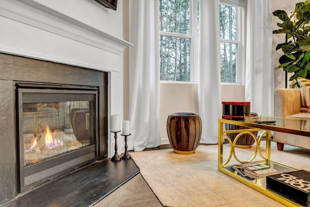 sitting room with a wealth of natural light