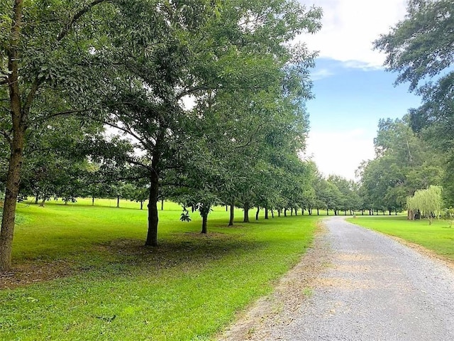 view of road