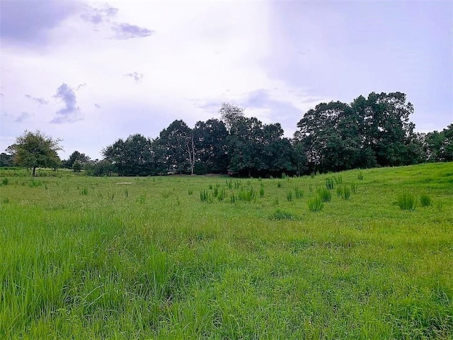 view of local wilderness with a rural view