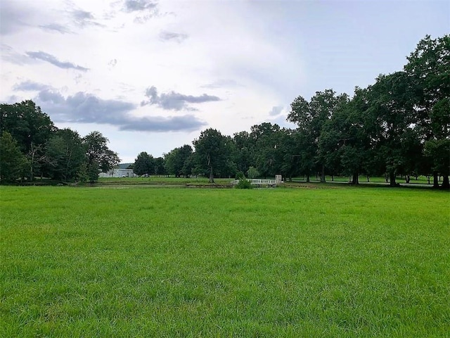 view of yard featuring a rural view