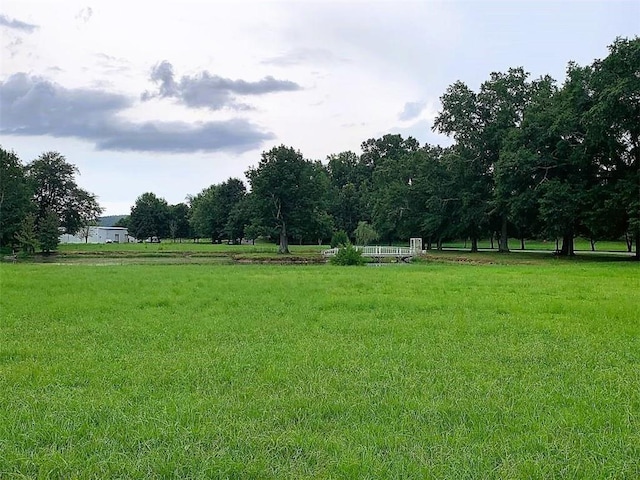 view of yard with a rural view