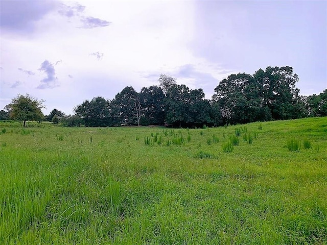 view of nature featuring a rural view