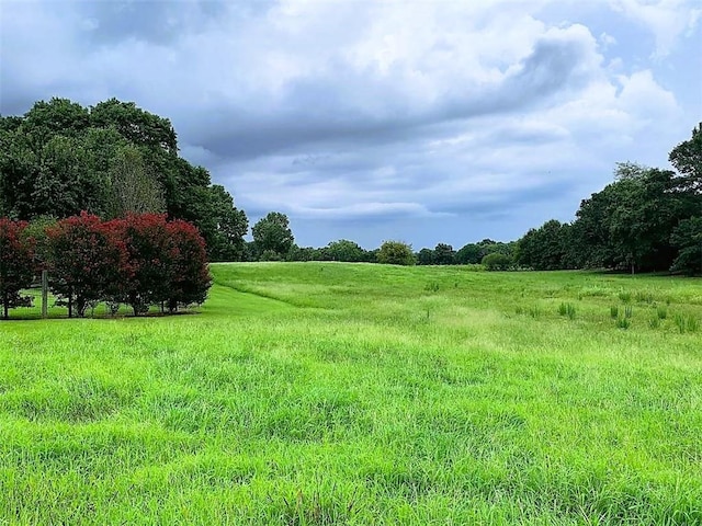 view of nature