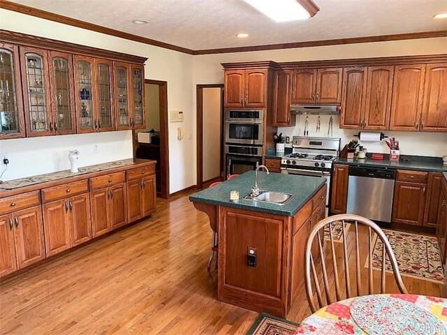 kitchen featuring appliances with stainless steel finishes, sink, light hardwood / wood-style flooring, a kitchen island with sink, and ornamental molding