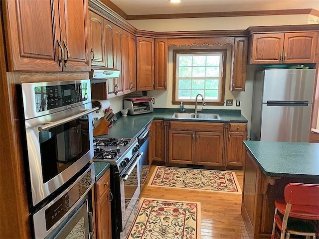 kitchen with ornamental molding, light hardwood / wood-style floors, sink, and stainless steel appliances