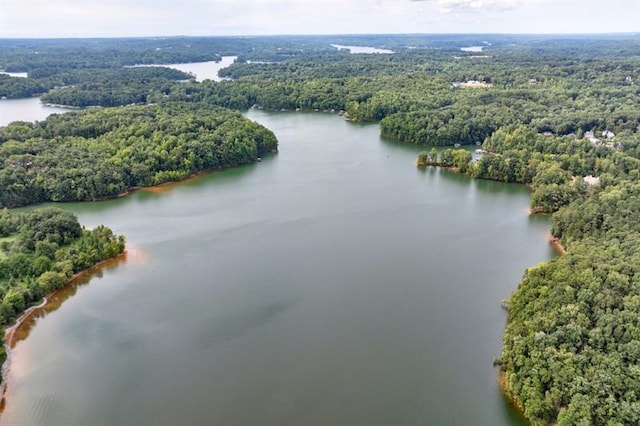 bird's eye view with a water view and a forest view