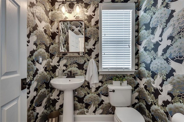 bathroom with toilet and wallpapered walls