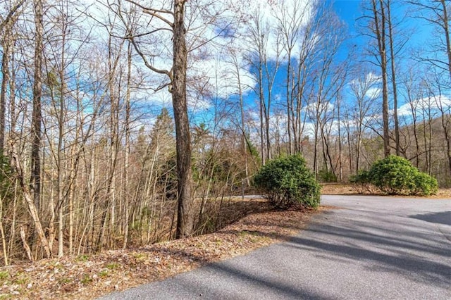 Listing photo 3 for LOT43 Dusty Danno Trl, Mineral Bluff GA 30559