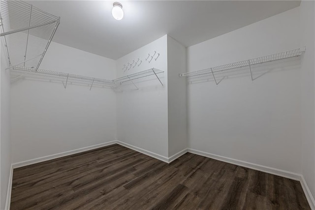 spacious closet with dark wood-type flooring