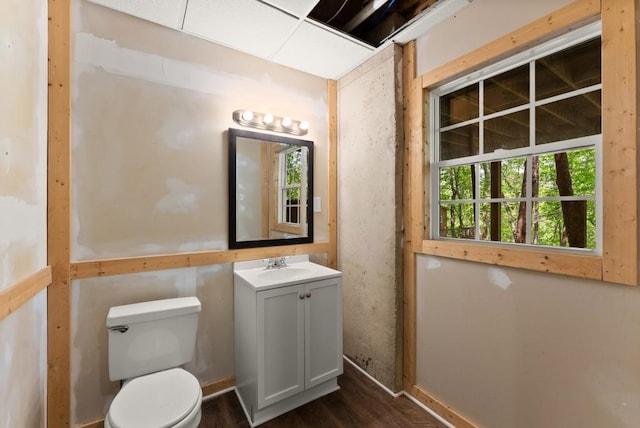 half bathroom with toilet, wood finished floors, and vanity