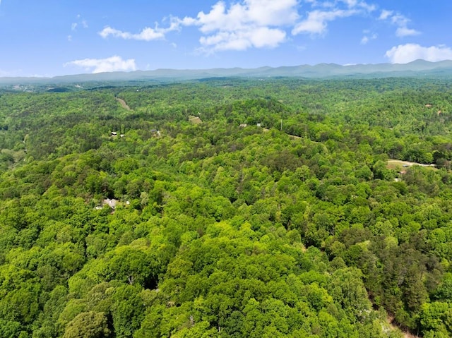 drone / aerial view with a view of trees and a mountain view