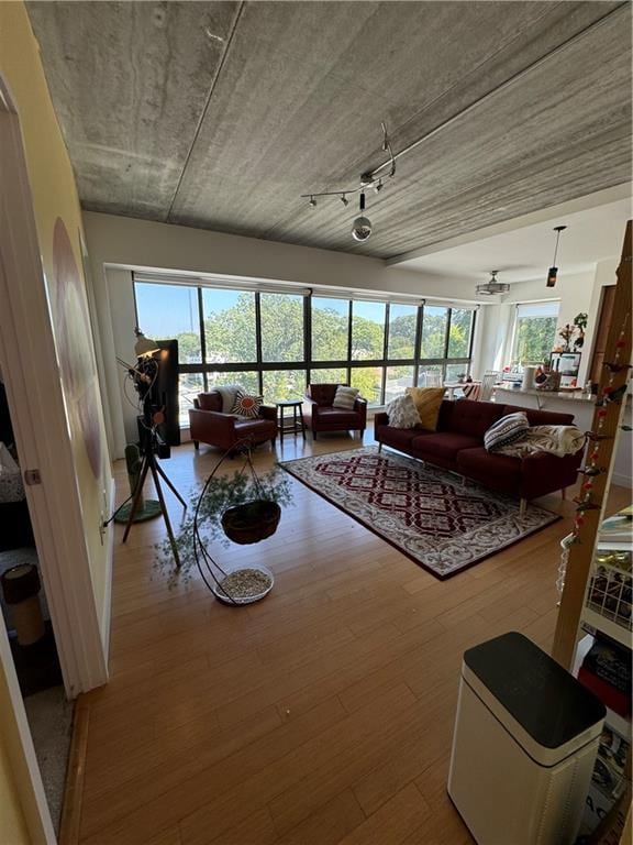 interior space featuring ceiling fan and wood-type flooring