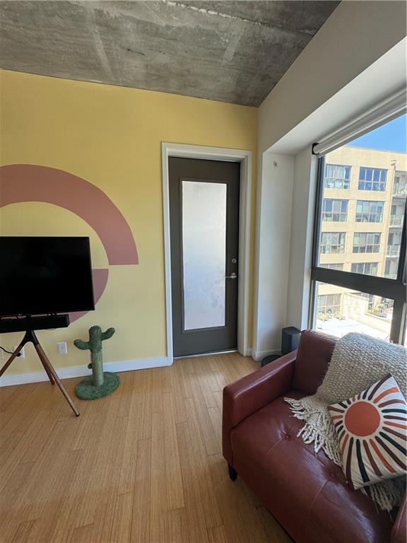 living room featuring wood-type flooring