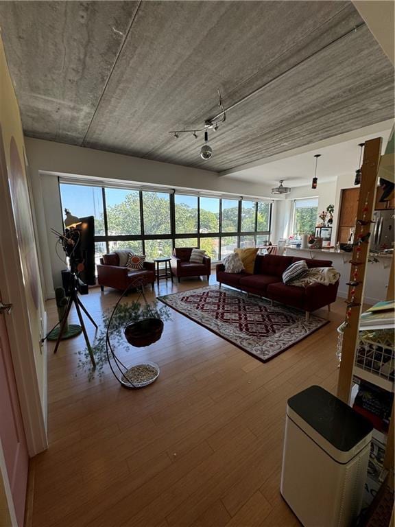 living room featuring hardwood / wood-style flooring and ceiling fan