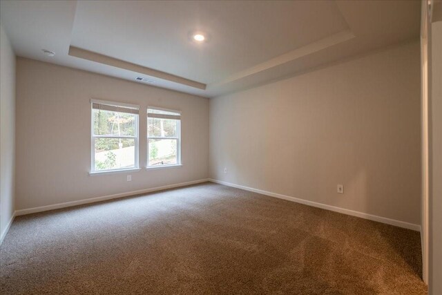 carpeted empty room with a raised ceiling