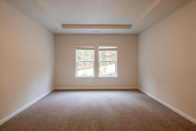 empty room featuring a tray ceiling and carpet flooring